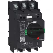 . GV4L    115A 25kA   . Schneider Electric